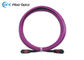 тип провод кабеля оптического волокна ЛСЗХ 8М цифров ОМ4 50/125 фиолетовый МТП женский хобота элиты б